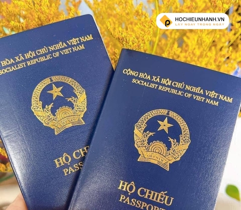Thủ Tục Làm Passport Online Tại Nha Trang Như Thế Nào?
