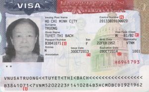 Phan Loai Visa Theo Muc Dich Nhap Canh 64D987275023D