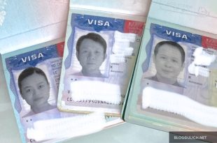 Phí Xin Visa Nhật Qua Đại Lý Ủy Thác - Các Loại Và Chi Phí Của Từng Loại Visa Nhật Bản