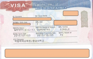 Cách Kiểm Tra Visa Hàn Quốc Đang Trong Tình Trạng Nào