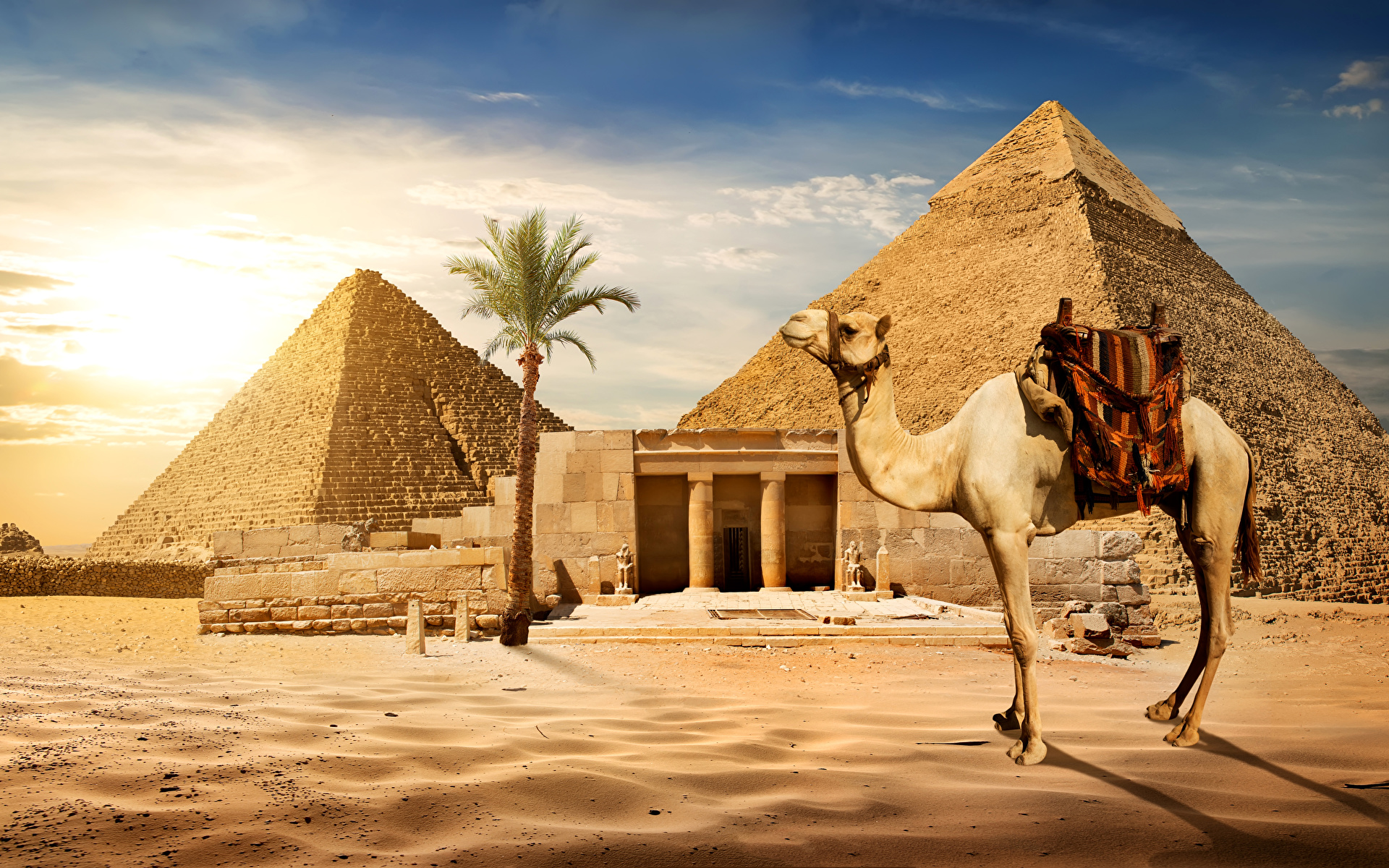 Visa Ai Cập Hướng Dẫn Chi Tiết Thủ Tục Và Lệ Phí Mới Nhất 2023