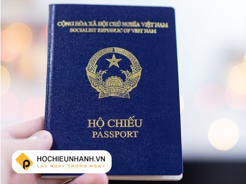 Passport Loại P Là Gì Theo Quy Định Mới 2023