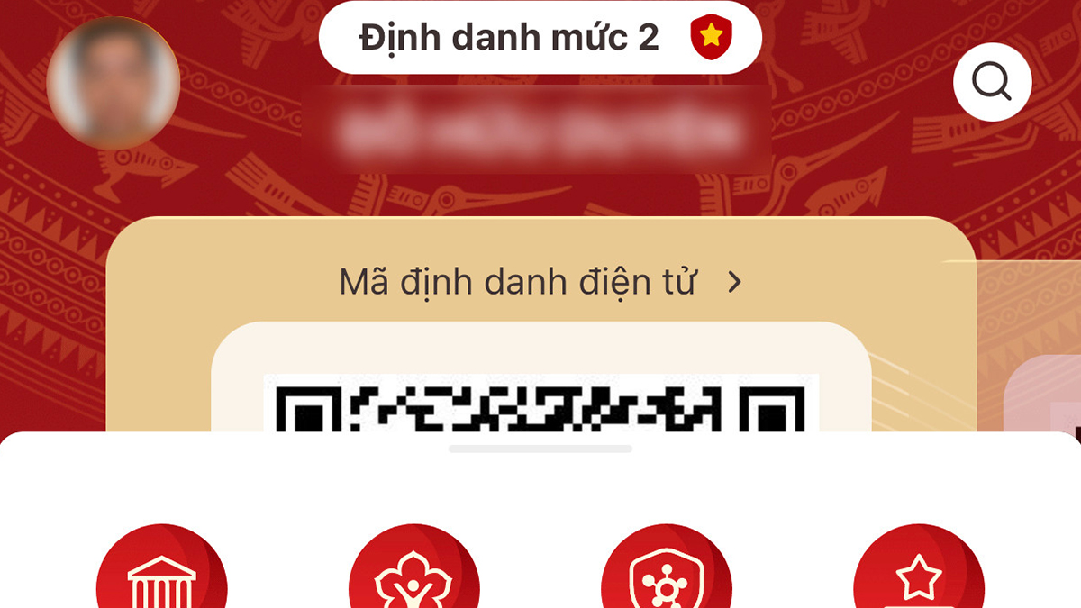 định danh mức 2 là gì