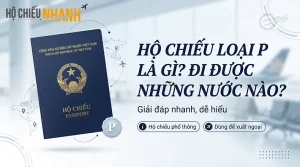 hộ chiếu loại p